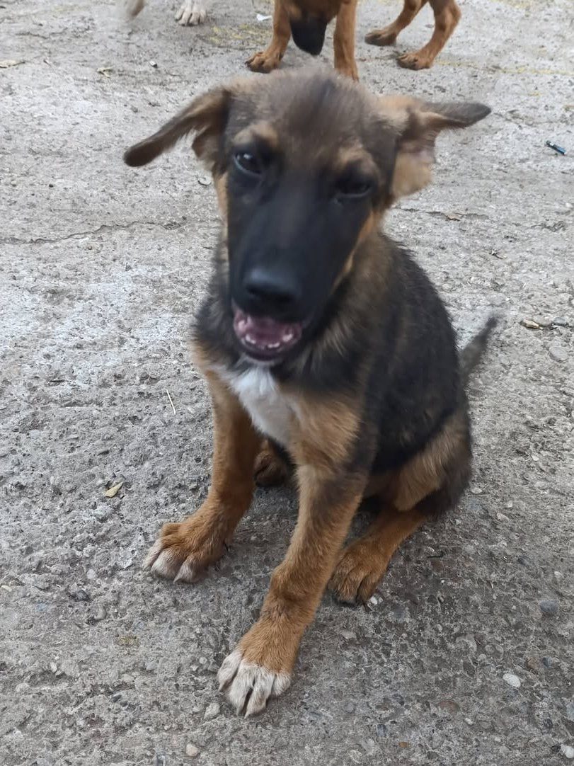 WLM301